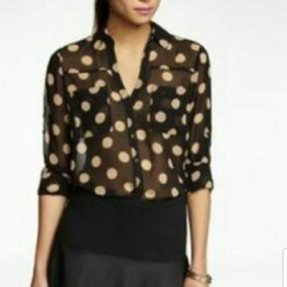 Express black and tan blouse
